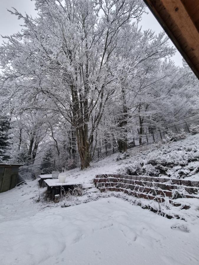 Ferienwohnung Schneeberg Stryck Exteriör bild